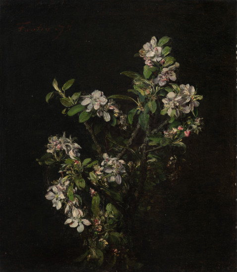 Blossoming branch of an apple tree, 1875. Creator: Henri Fantin-Latour.