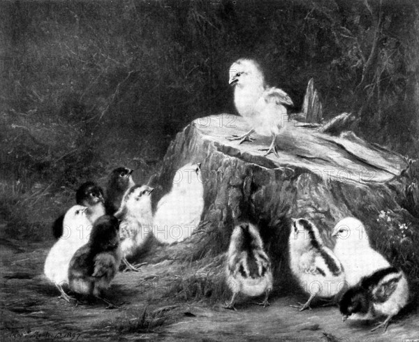 The Stump Orator - by Robert Morley, 1898. Creator: Unknown.