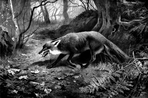 Spent, 1898. Creator: Unknown.