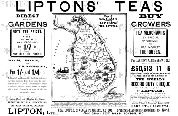 Advertisement for Liptons' Teas, 1898. Creator: Unknown.