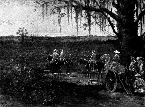The Spanish-American War: the deadly Palmetto Swamps of Cuba, 1898. Creator: Unknown.