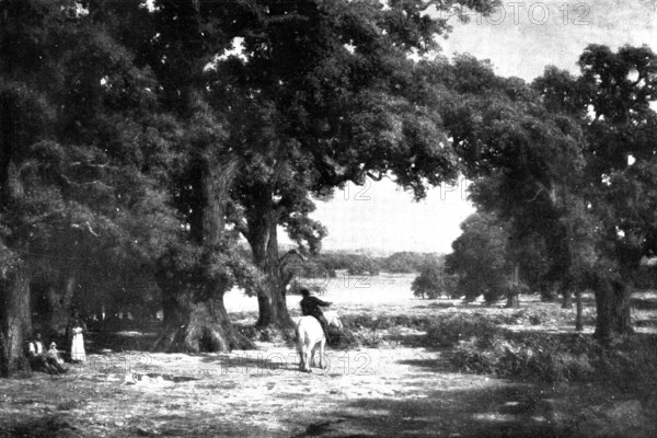 Pictures from the Royal Academy: Through The Forest - C. E. Johnson, 1898. Creator: Unknown.
