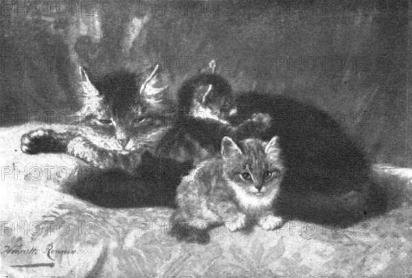Pictures from the Royal Academy: Memories and Anticipations - Henriette Ronner, 1898. Creators: Unknown, Henriette Ronner.