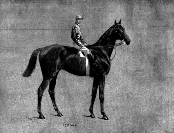 Mr. J. W. Larnach's Jeddah, winner of the Derby, 1898. Creator: Unknown.