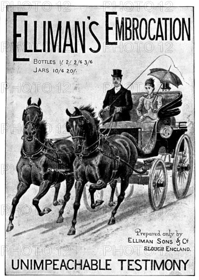 Advertisement for Elliman's Embrocation, 1898. Creator: Unknown.