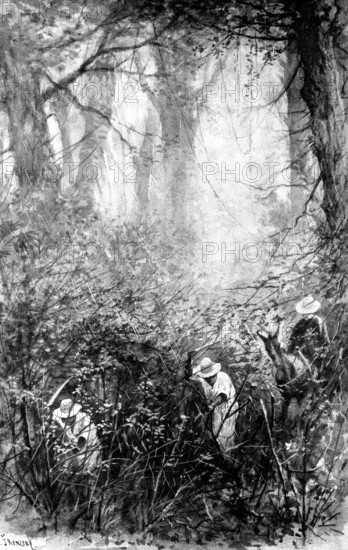 The Spanish-American War: the rainy season in Cuba - in the country, 1898. Creator: Unknown.