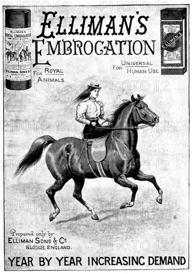 Advertisement for Elliman's Embrocation, 1898. Creator: Unknown.