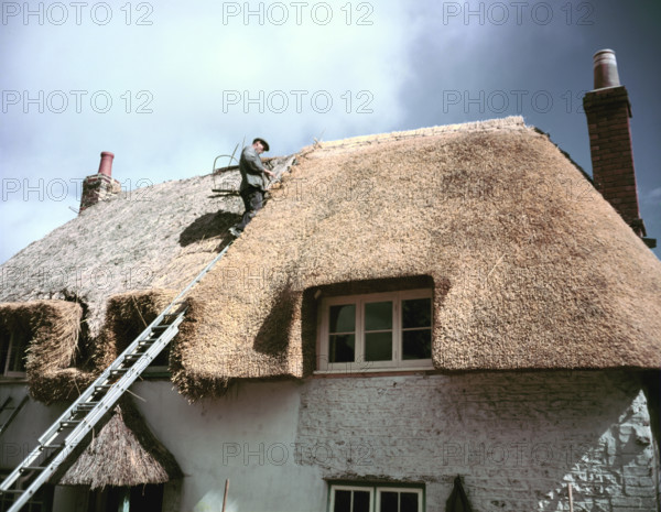Thatching at Little Waddon, Dorset, c1955-1970. Creator: Arthur Charles Kirby Ware.