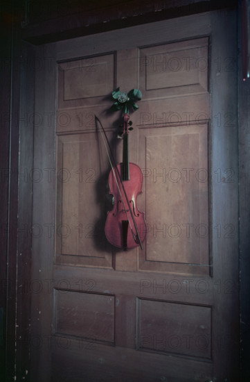 Violin on a door painted by Jan van der Vaart, Chatsworth House, Derbyshire, c1955. Creator: Arthur Charles Kirby Ware.