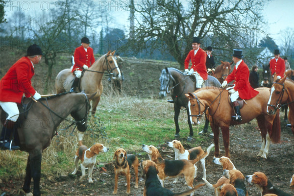 British hunting scene, c1955. Creator: Arthur Charles Kirby Ware.