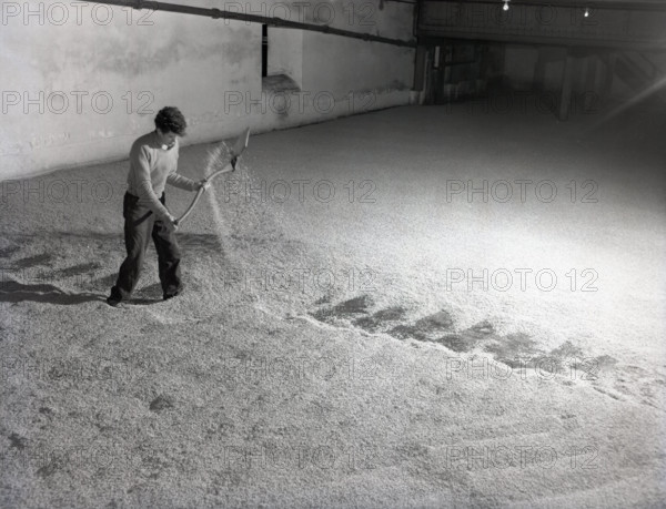 Glenlivet Distillery, Scotland, c1955. Creator: Arthur Charles Kirby Ware.