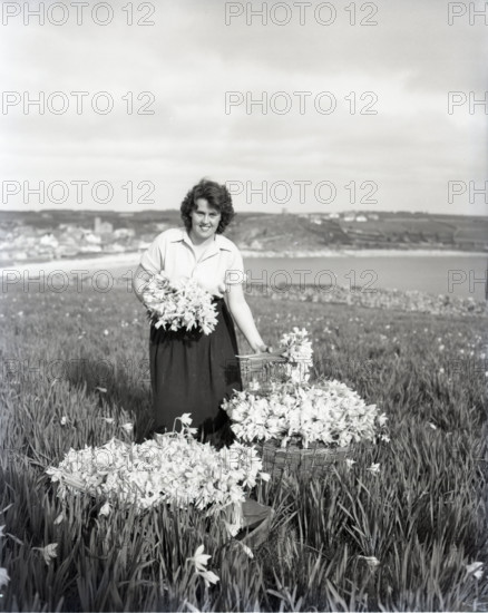 Picking flowers, St Mary's, Scilly Isles, c1955. Creator: Arthur Charles Kirby Ware.
