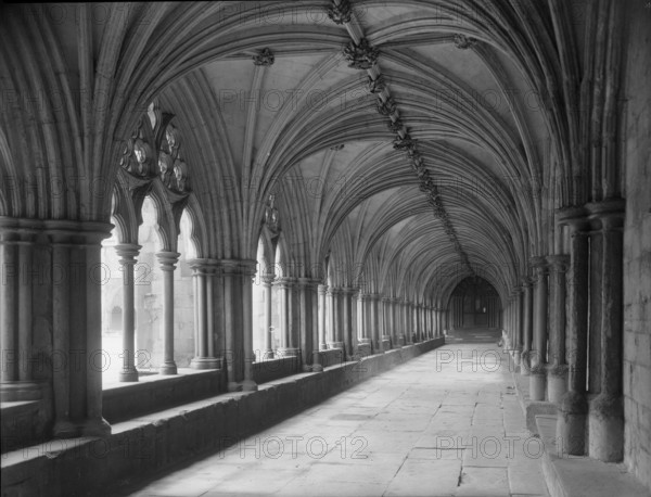 The Cloisters, Norwich Cathedral, Norfolk, c1955. Creator: Arthur Charles Kirby Ware.