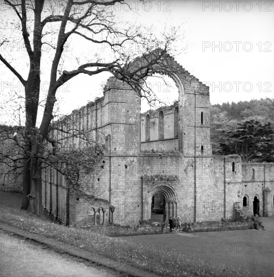 Fountains Abbey, Yorkshire, c1955.  Creator: Arthur Charles Kirby Ware.
