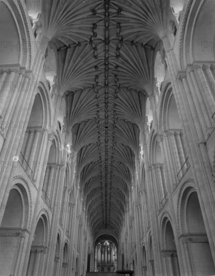 Vaulted ceiling, Norwich Cathedral, Norfolk, c1955.  Creator: Arthur Charles Kirby Ware.