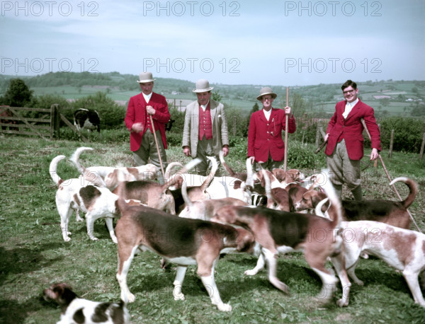 Meet of foxhounds at Hawley, Somerset, c1955-1970. Creator: Arthur Charles Kirby Ware.