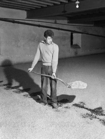 Glenlivet Distillery, Scotland, c1955. Creator: Arthur Charles Kirby Ware.