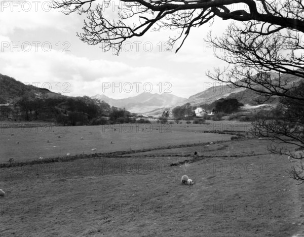 Landscape, Snowdon from Capel Corig, Wales, c1955. Creator: Arthur Charles Kirby Ware.