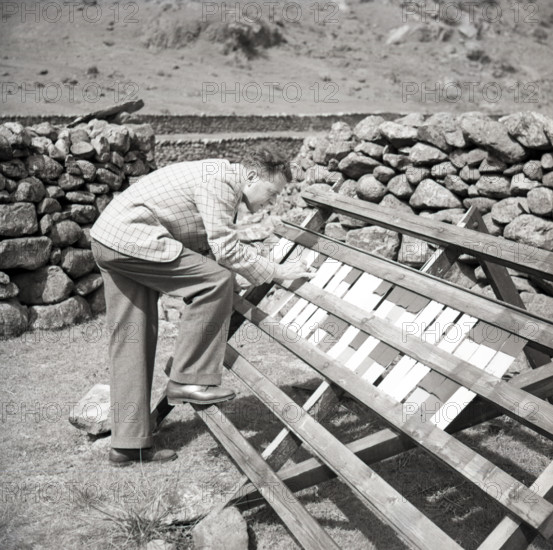 Paint testing, Seathwaite, Lake District, c1955. Creator: Arthur Charles Kirby Ware.