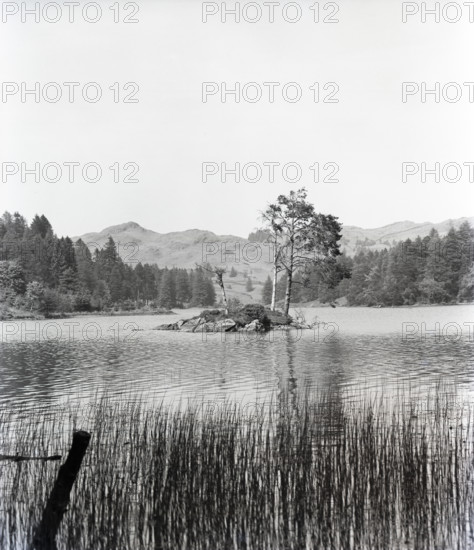 Tarn Hows, Lake District, c1955. Creator: Arthur Charles Kirby Ware.