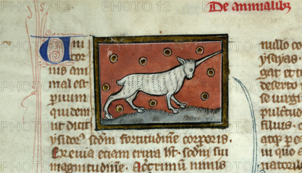 Unicorn (Initial). Liber de natura rerum, 1285-1295. Creator: Anonymous.