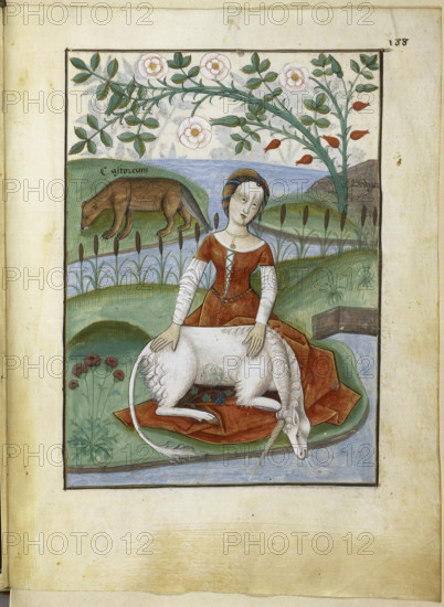Unicorn. Livre des simples médecines, 16th century. Creator: Anonymous.