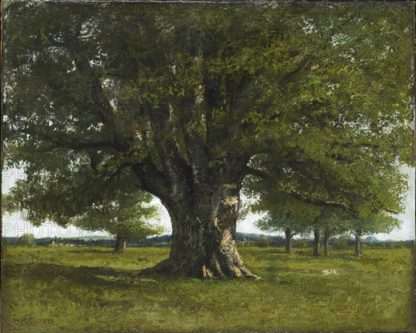 The Oak of Flagey (also known as the Oak of Vercingetorix, Caesar's camp near Alesia), 1864. Creator: Courbet, Gustave (1819-1877).