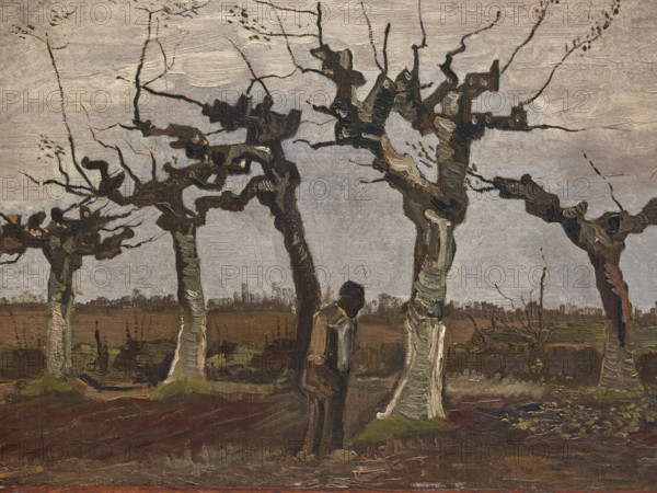 Pollard birches, 1884. Creator: Gogh, Vincent, van (1853-1890).