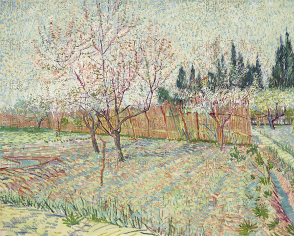 Orchard with cypresses, 1888. Creator: Gogh, Vincent, van (1853-1890).