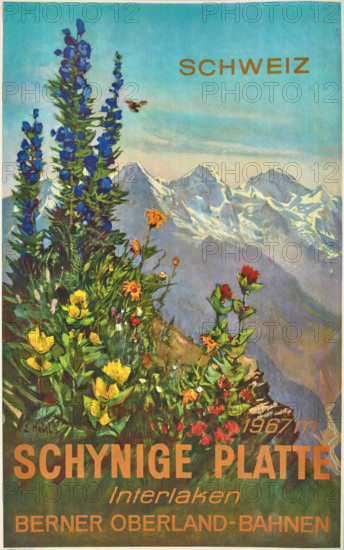 Schynige Platte, 1952. Creator: Hodel, Ernst (1881-1955).