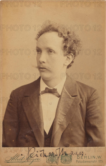Portrait of the composer Richard Strauss (1864-1949), c1904. Creator: Meyer, Albert (1857-1924).
