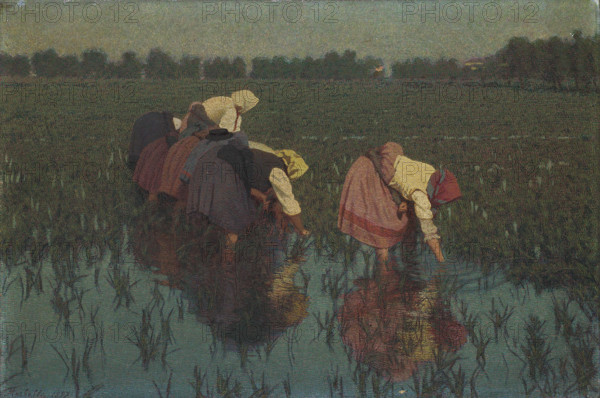 Rice workers, 1897. Creator: Morbelli, Angelo (1853-1919).