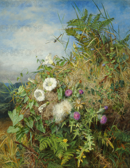 Wild flowers at the corner of a cornfield. Creator: Mutrie, Martha Darley (1824-1885).