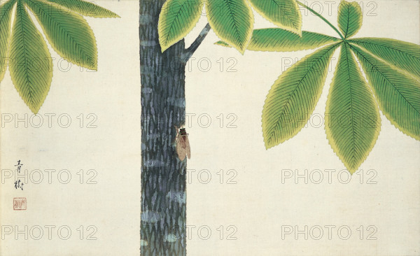 Cicada, 1930. Creator: Omoda, Seiju (1891-1933).