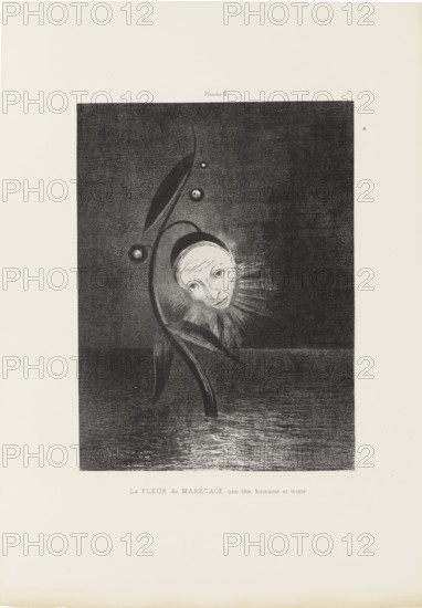 Homage to Goya: The Marsh Flower, 1885. Creator: Redon, Odilon (1840-1916).