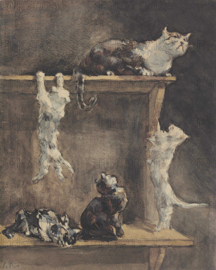 Cats and kittens on a dresser. Creator: Renouard, Paul (1845-1924).