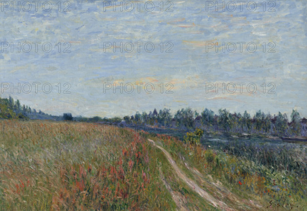 The meadow, c1880. Creator: Sisley, Alfred (1839-1899).