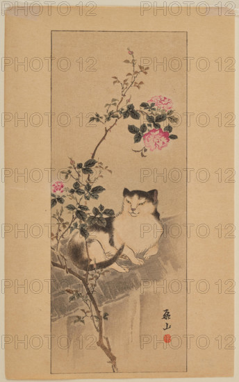Cat on a roof underneath a rose bush. Creator: Yokoyama, Kazan (1784-1837).
