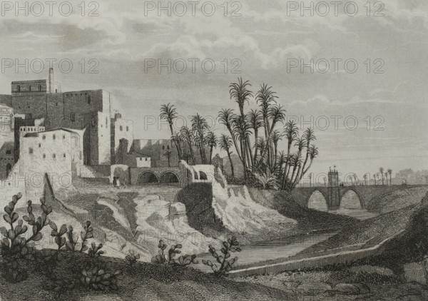 Elche, Alicante province, Spain, 1853.  Creator: Antonio Roca Sallent.