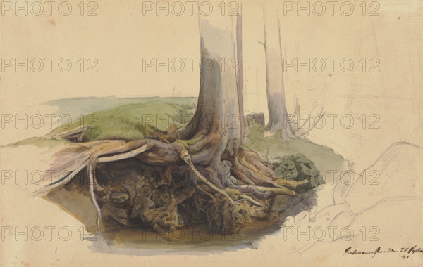 Tree trunk and roots, 1845. Creator: Ernst Ferdinand Oehme.