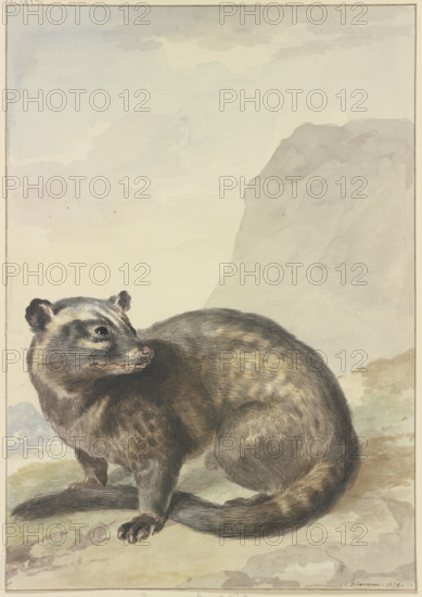 A strange Levet-Kat, 1776. Creator: Aert Schouman.