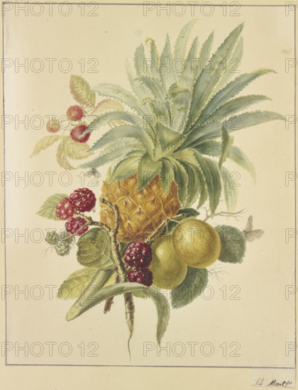 A pineapple, plums, and raspberries. Creator: Jan Evert Morel.