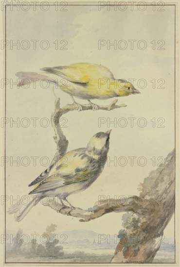 Two canaries, 1763. Creator: Aert Schouman.