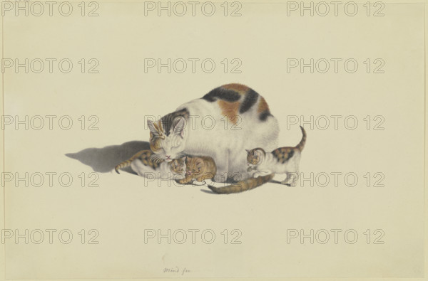 White cat, black and reddish-brown spotted, with her three kittens playing with a mouse, 18th cent. Creator: Gottfried Mind.