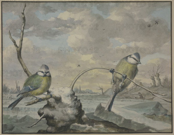 Two tits in the winter, 1775. Creator: Gijsbertus Haasbroek.