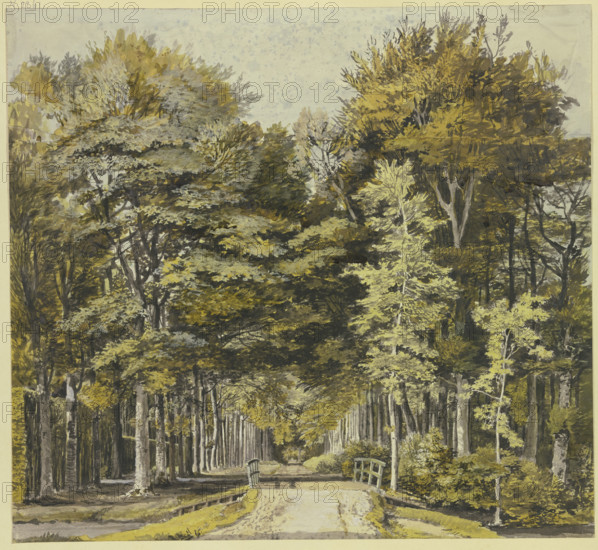 Path through a beech forest, with a wooden bridge in front, 18th century. Creator: Martinus van der Jagt.