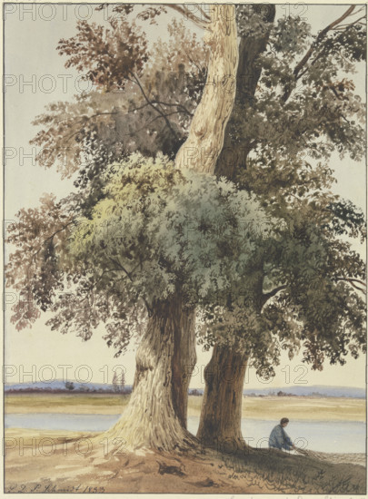 Two trees on the river, 1833. Creator: Ludwig Daniel Philipp Schmidt.