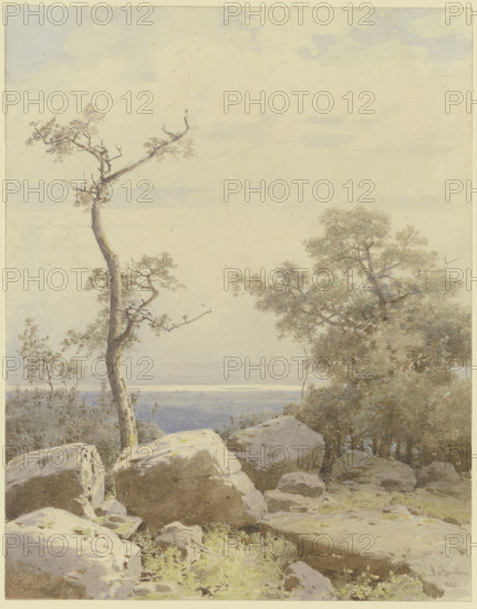 Bare tree among stone blocks, 1880. Creator: Carl Theodor Reiffenstein.