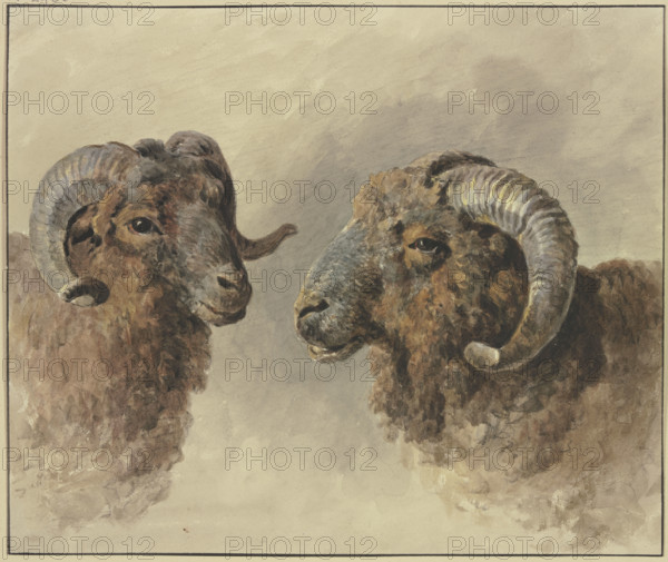 Two sheep, 18th century. Creator: Jacob van Strij.