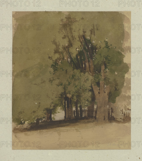 Old trees at a fence, 1855. Creator: Carl Theodor Reiffenstein.
